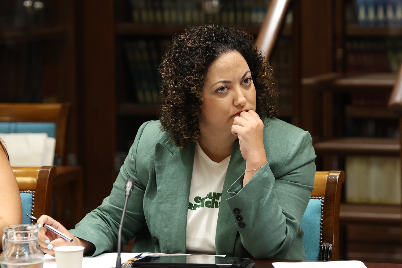 Jana González, en Comision parlamentaria.