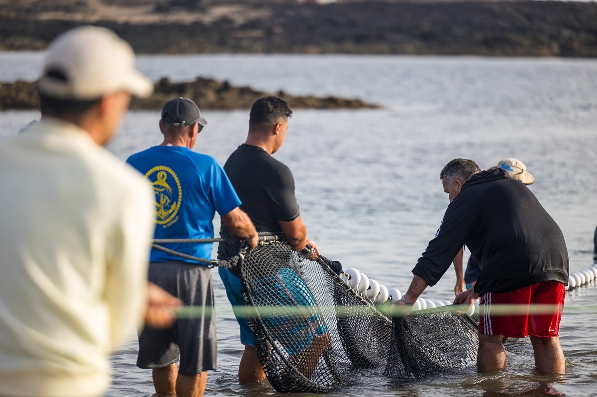 Calada de pescado en la Caleta del Río, al norte de El Cotillo, antes de las Fiestras de 2025.