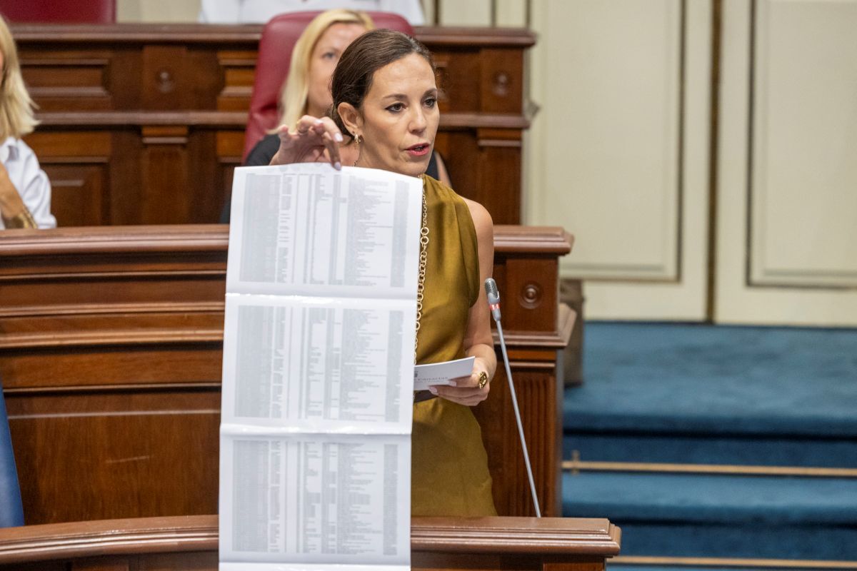 La consejea de Turismo en su intervención en el pleno.