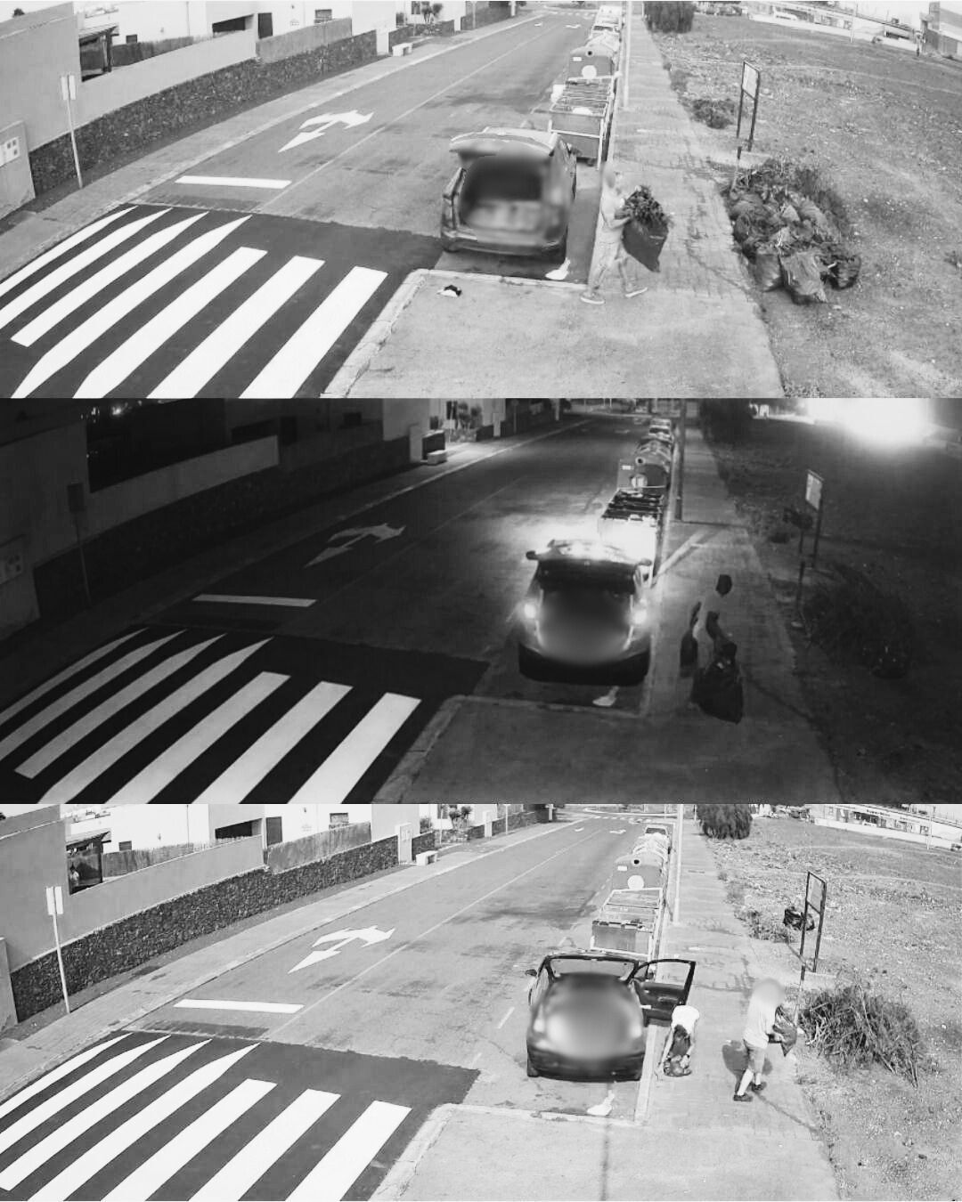 Cámaras de seguridad captan el depósito irregular de poda en La Oliva.