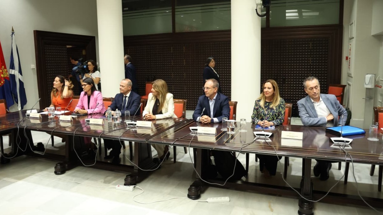 FECAI Parlamento  reforma Ley de Cabildos (2)