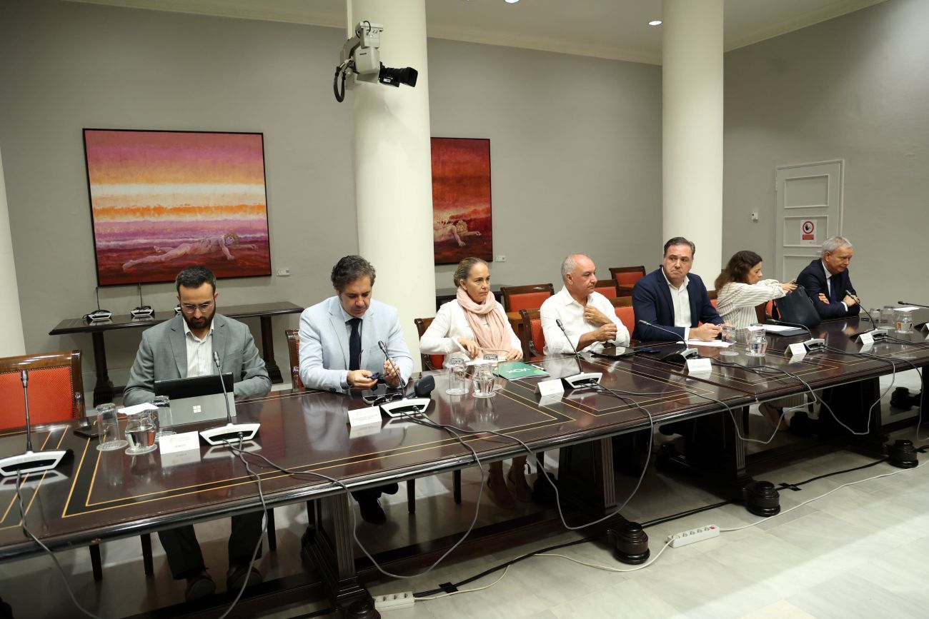 FECAI Parlamento  reforma Ley de Cabildos (1)