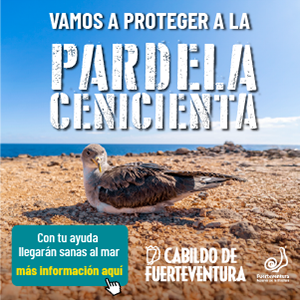 Publicidad 8054