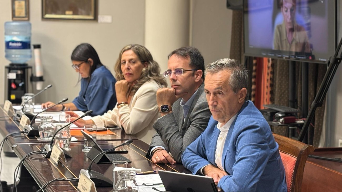 Marlene Figueroa, en la Comisión de Cabildos del Parlamento canario.