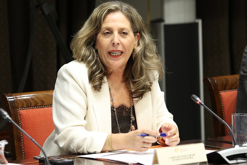 Marlene Figueroa en la Comisión General de Cabildos Insulares del Parlamento.