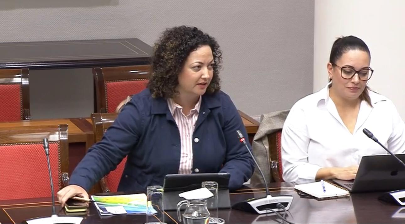 Jana González Alonso (CCa), en Comisión de Obras Públicas y Vivienda.