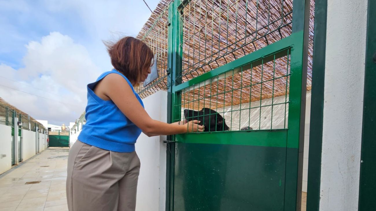 Tacoremi Gutiérrez, Councillor for Animal Welfare