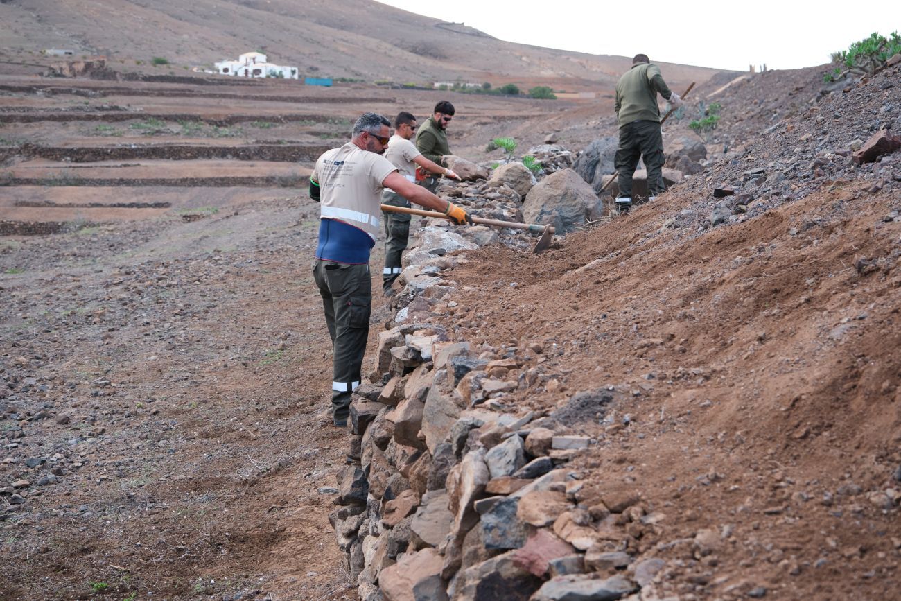 Restauración de muros de piedra en Vallebrón.