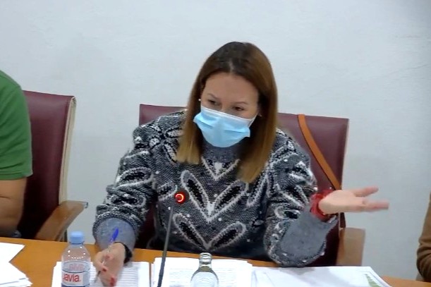 La portavoz de Fuerteventura Avanza, Peña Armas, en el pleno (1)