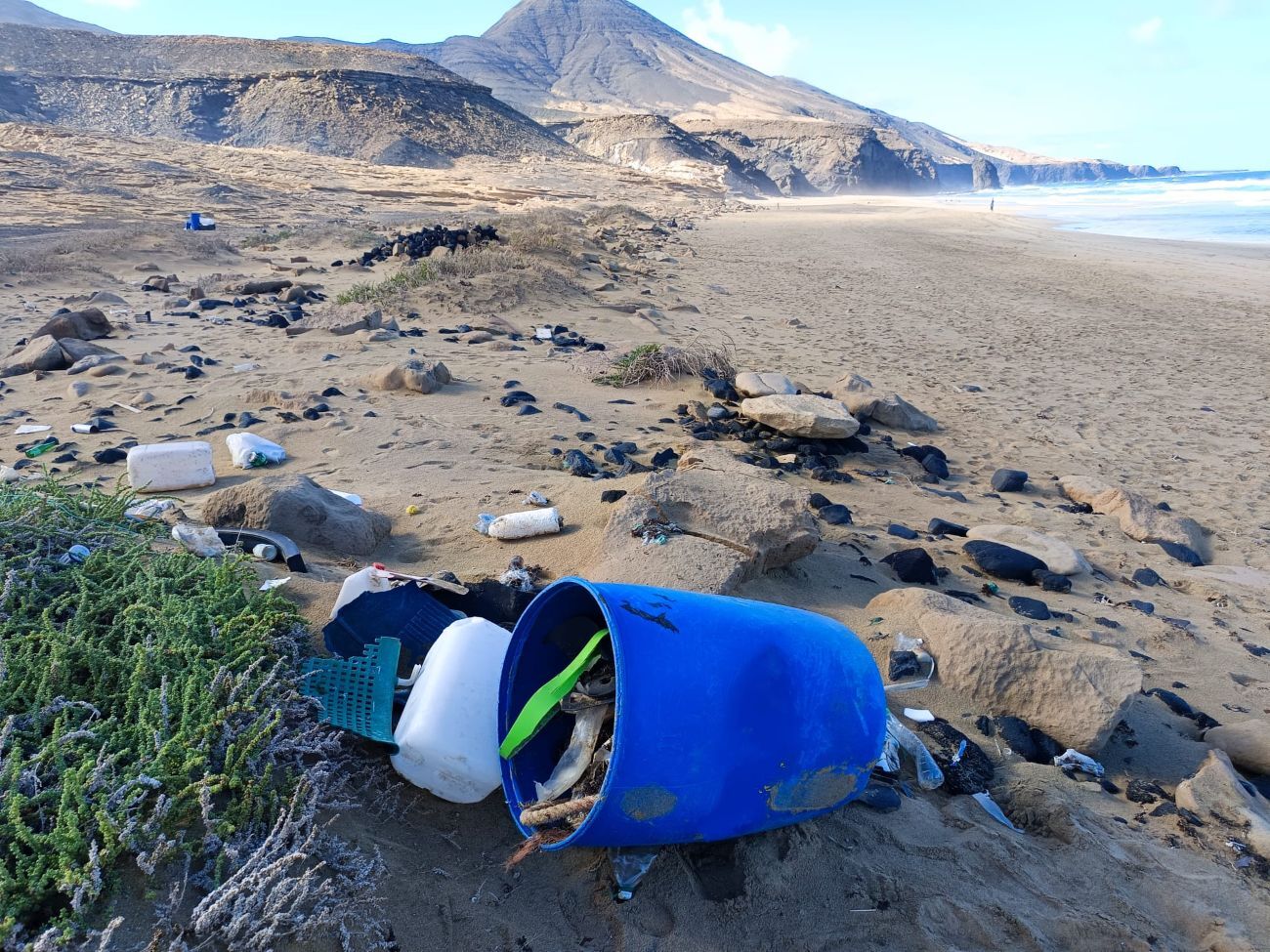 Basura marina que llega al litoral de Fuerteventura, y que recoge Limpiaventura