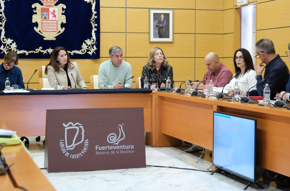 Intervención de Lolina Negrín sobre Artesanía en el pleno del Cabildo de enero de 2006.