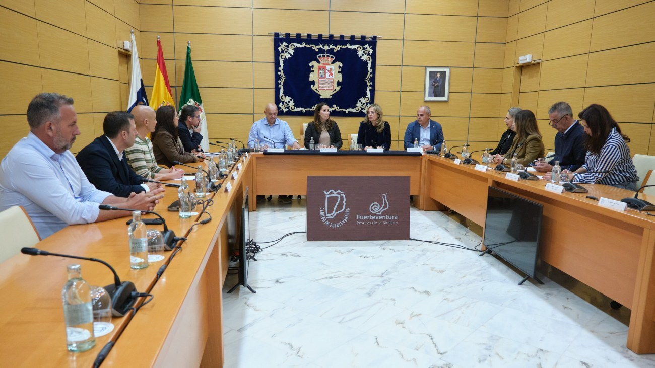 Cabildo y ayuntamientos recibieron a la consejera de Sanidad.