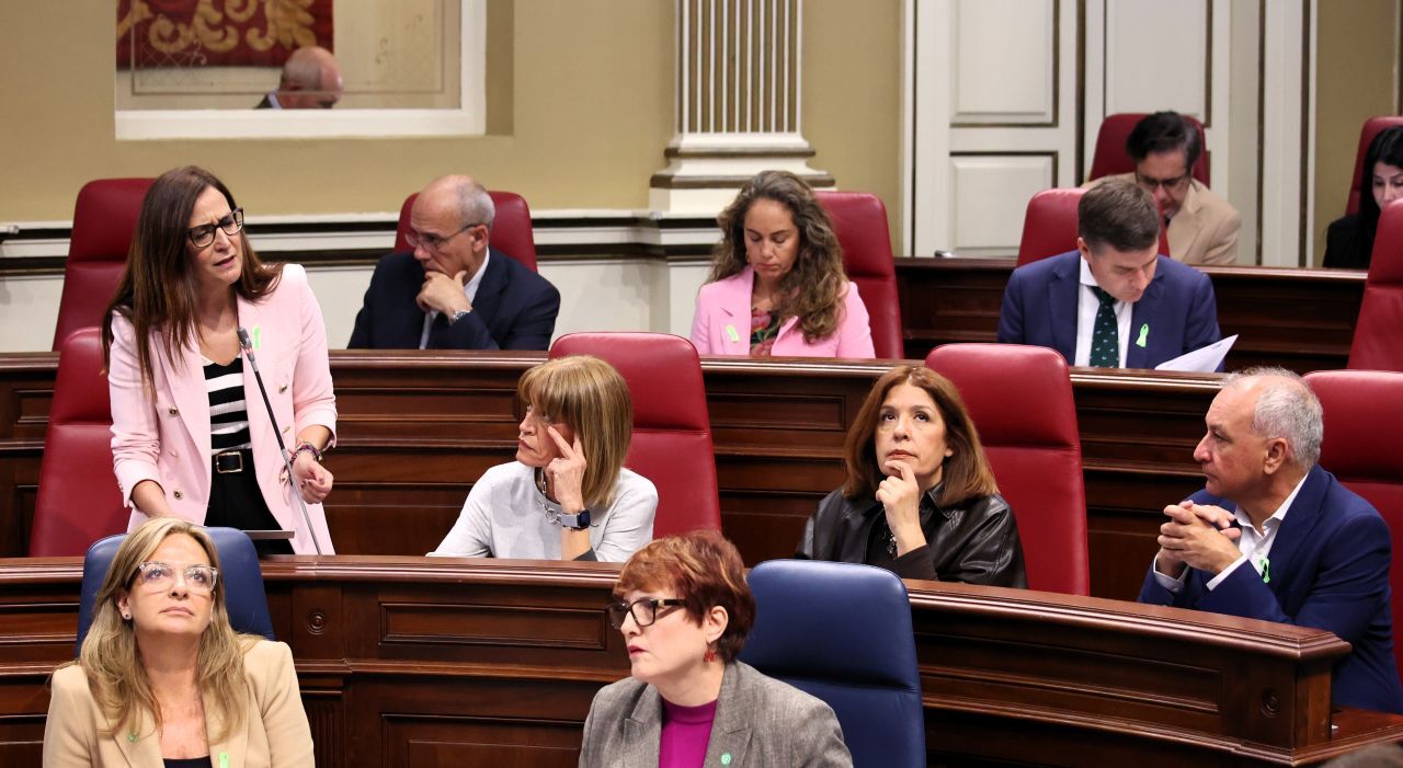 Natalia Santana (NC-BC) se dirige a la consejera Delgado en el Parlamento de Canarias. 