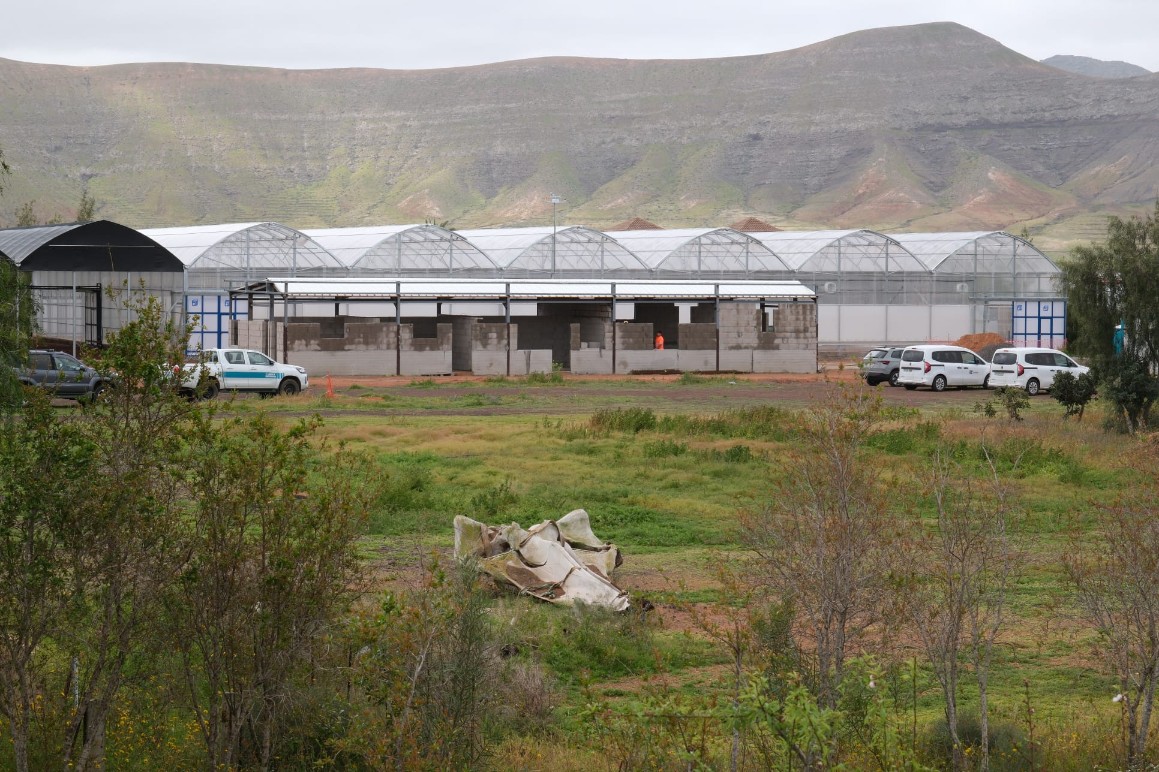 Estación Biológica de La Oliva.