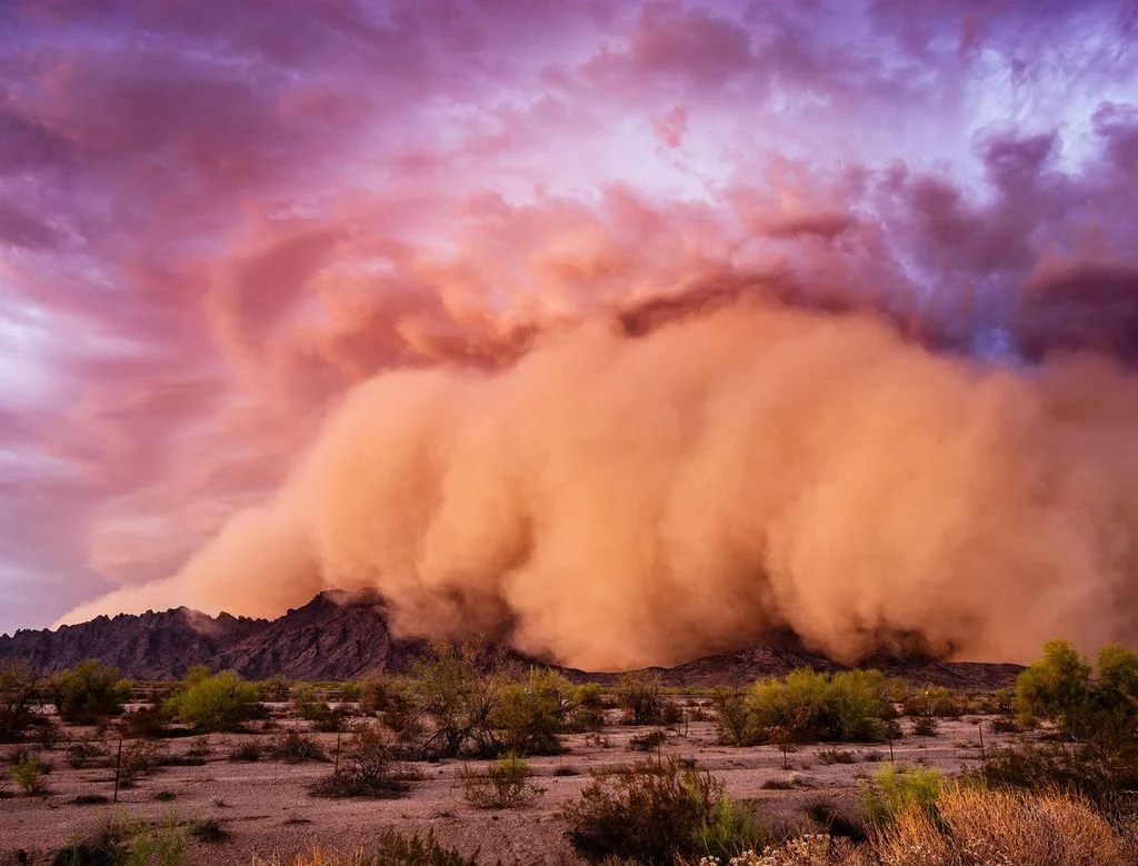 Imagen del artículo original de José Miguel Viñas, en el tiempo.com.