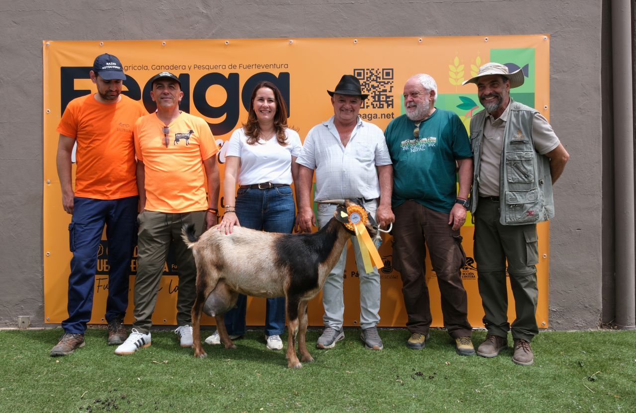 Concurso de Valoración Morfológica de Feaga 2026.