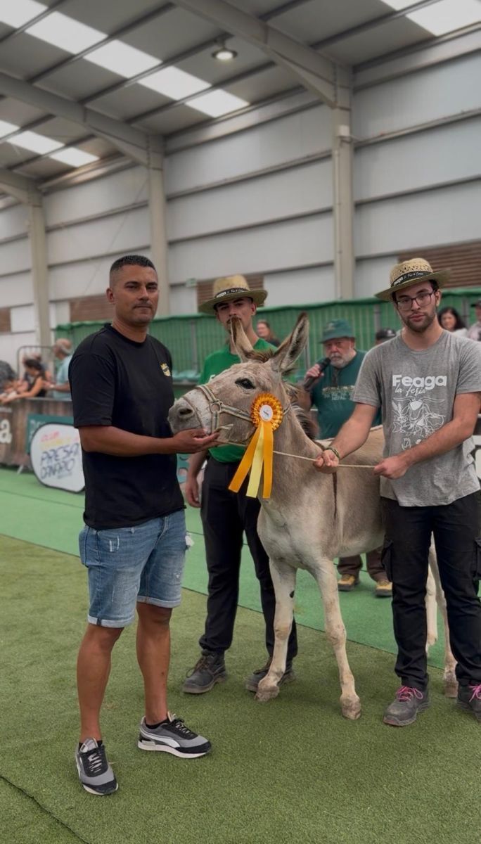 Burro majorero premiado en Feaga