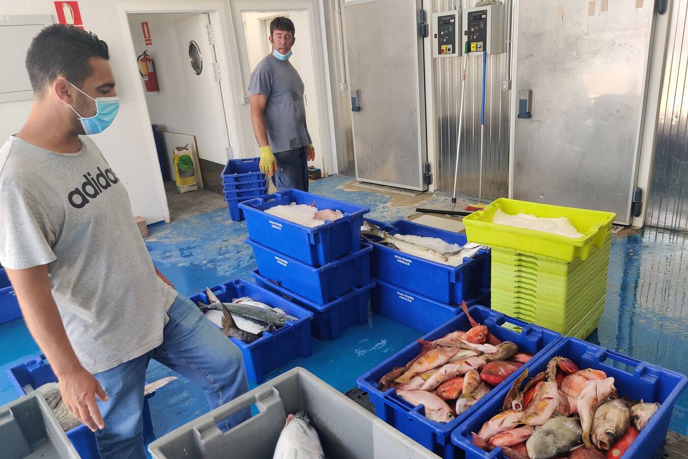 Llegada del pescado a la Cofradía de Pescadores de Corralejo | ©Fuerteventura Digital, 2023