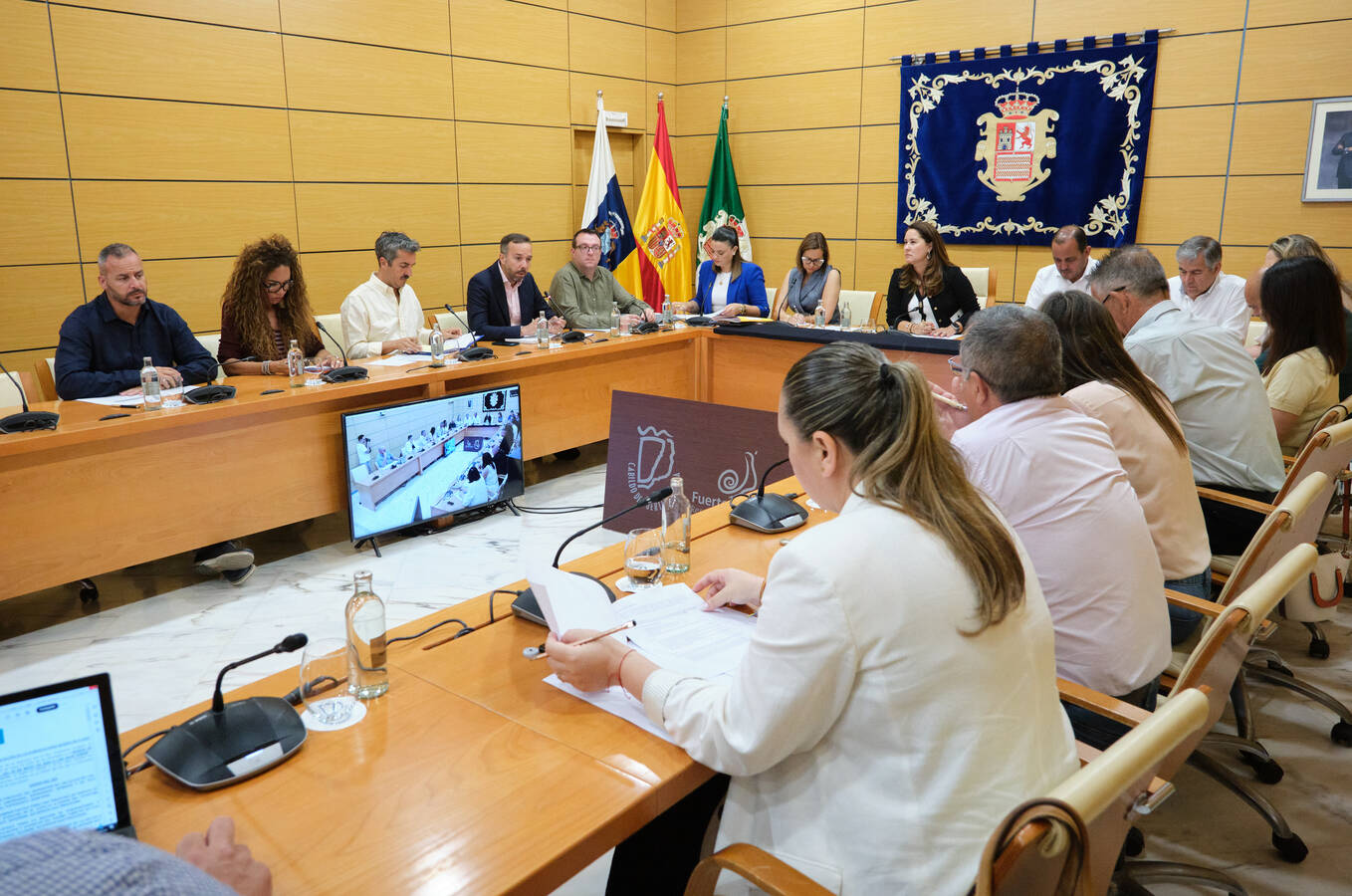 Pleno del Cabildo, en sesión ordinaria de mayo de 2026.