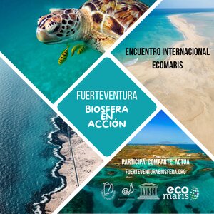 Publicidad 10705