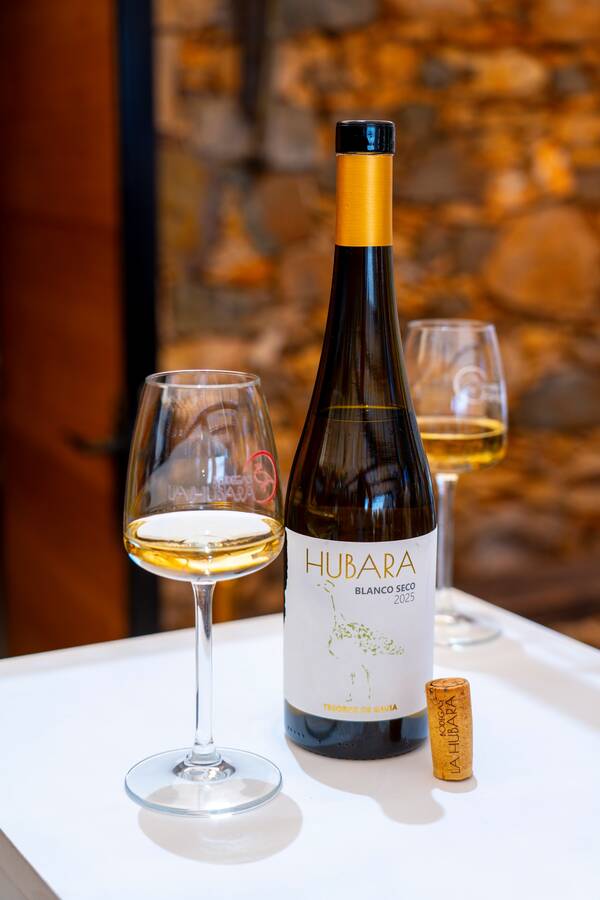 Primera añada de Bodegas La Hubara.