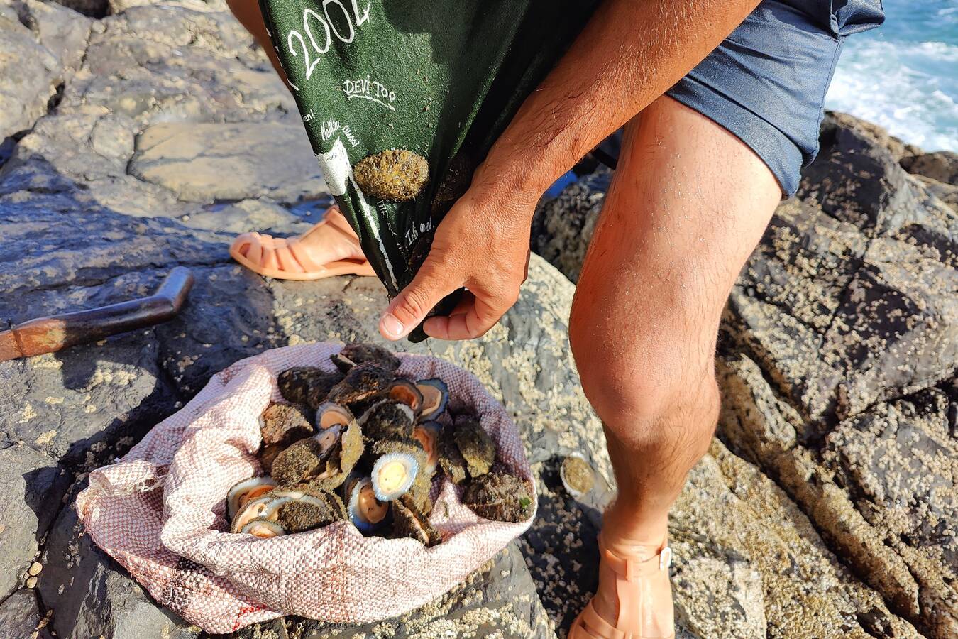 Marisqueo de lapas en Fuerteventura | ©Fuerteventura Digital. 2023.